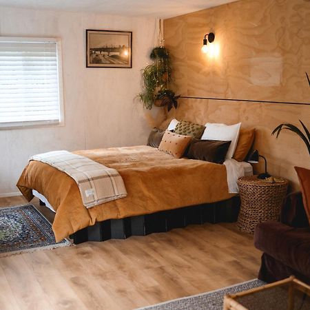 Kaitake Kabana - Unique, Off-Grid, Studio Retreat Oakura 외부 사진